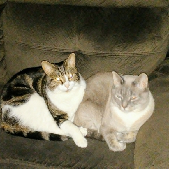 Meet your Posher, Kim - Picture 4 of 4